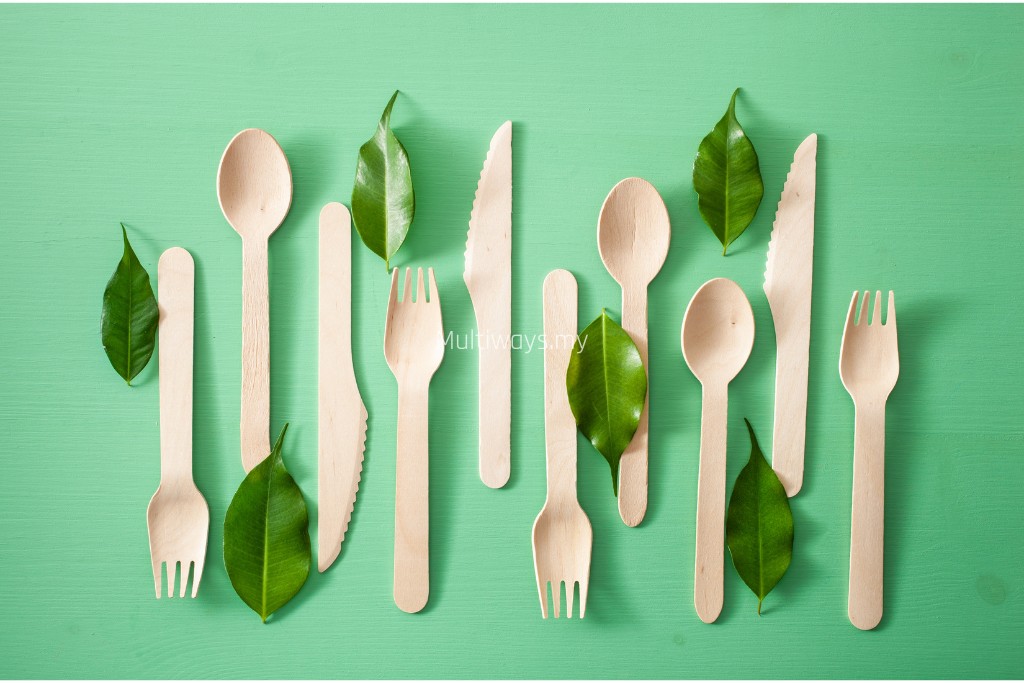 Disposable Eating Utensils