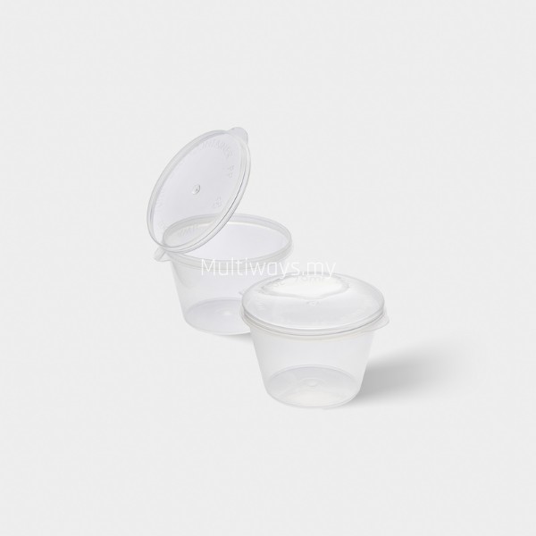 MW 250 - 2.5oz Plastic Container Hinged with Lid
